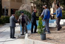 گزارش تصویری از آئیین درختکاری و تقدیر ازهمکاران فضای سبز دانشگاه